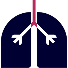 Lung icon showing the trachea and branching airways